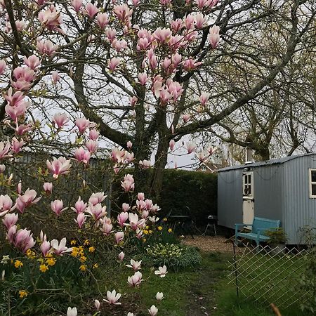 The Wayside Shepherd Hut Beaulieu Exteriör bild