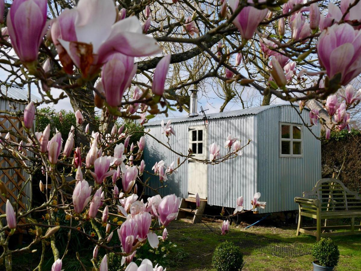 The Wayside Shepherd Hut Beaulieu Exteriör bild