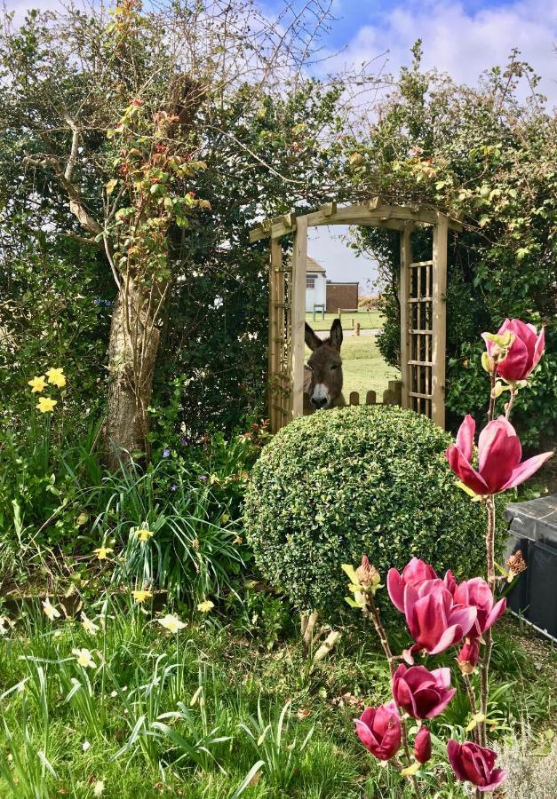 The Wayside Shepherd Hut Beaulieu Exteriör bild