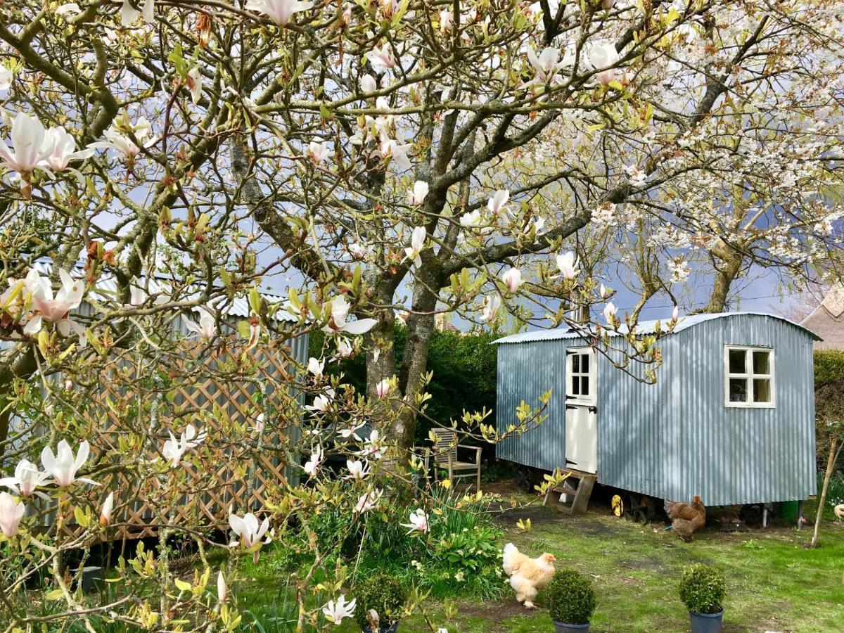 The Wayside Shepherd Hut Beaulieu Exteriör bild
