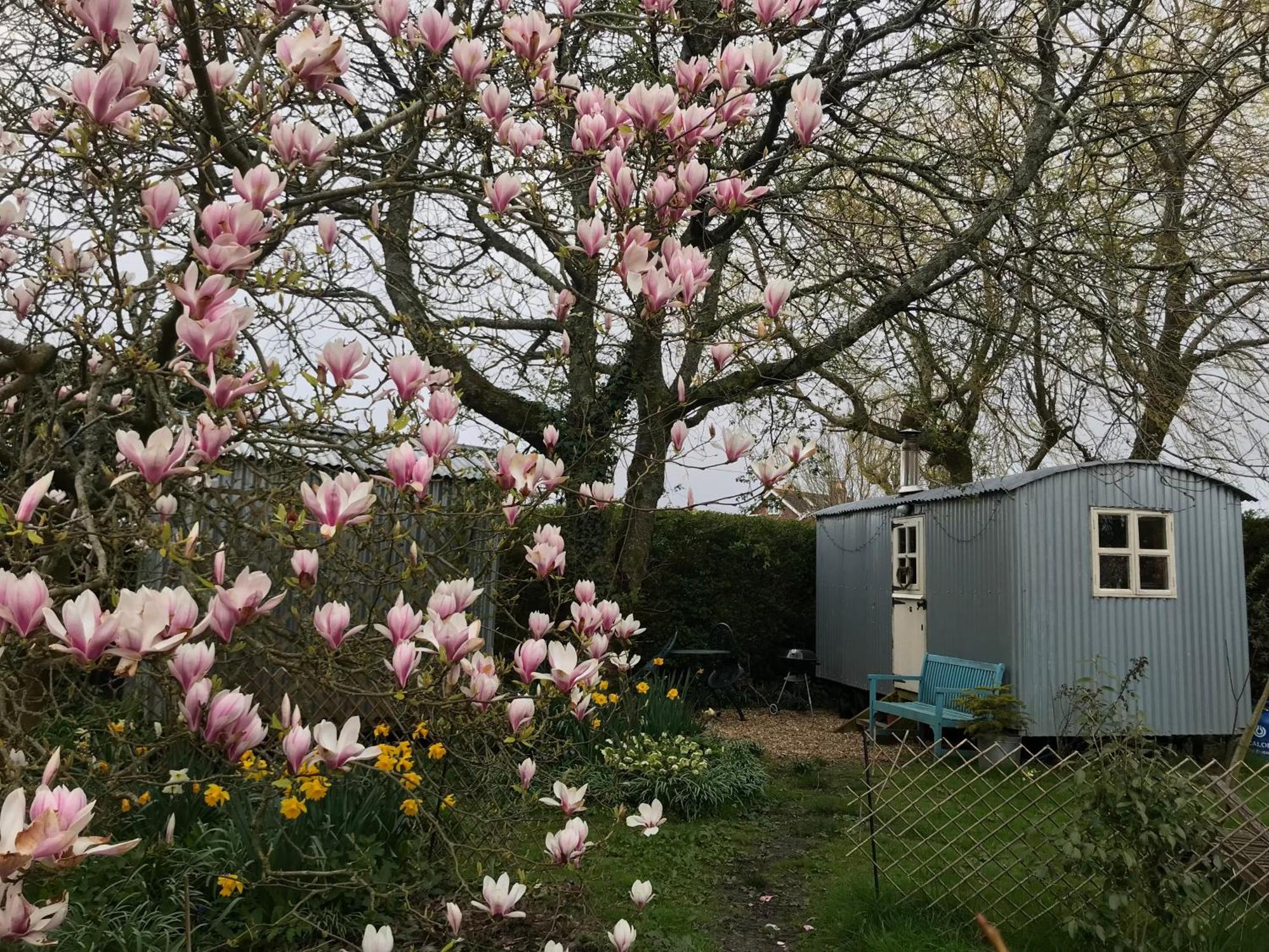 The Wayside Shepherd Hut Beaulieu Exteriör bild
